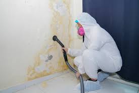 Best Environmental Consulting for Mold Prevention  in Pearl River, LA